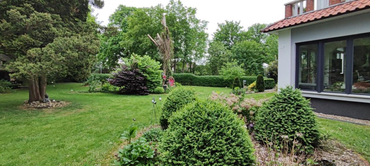 Kunterbunt, Gemuetlichkeit Am Waldesrand *
